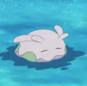 さめ‎((ᐡ ̳ ,  ̫ ,ᐡ)