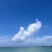 Renの画像