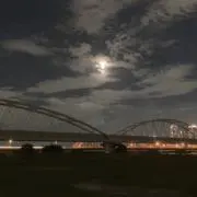 さかなの画像
