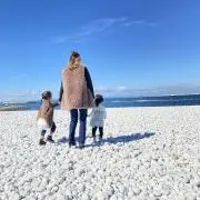 レイの画像