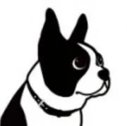 SAKIの画像