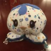 koco
