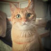 せいちゃんの画像