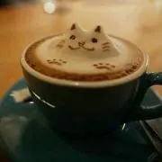 ゆうの画像