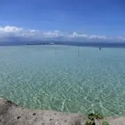 Chiの画像