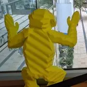 CSM