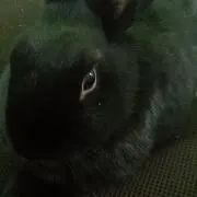 らび プロフ必読願います。の画像