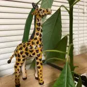 キリンの画像