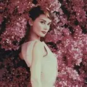 フェミの画像