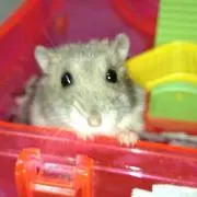 ペペ(*^^*)