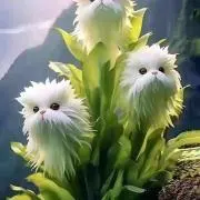 こころおごじょの画像