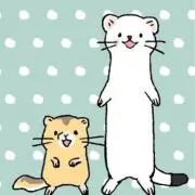 TMy
