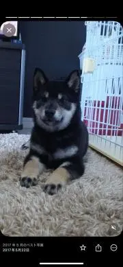 ジュンイチの画像