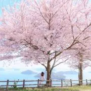とむの画像