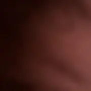 Karniの画像