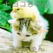 ヌヌヌ