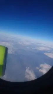 すいかの画像
