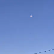 なすびの画像