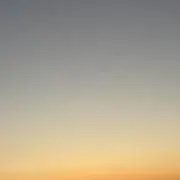 sariの画像