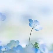ゆきうさぎ★交渉希望者はプロフ確認の画像