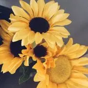 siの画像