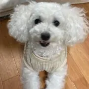 くままの画像