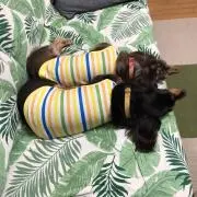 837815861103の画像