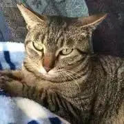 ちびゆきの画像