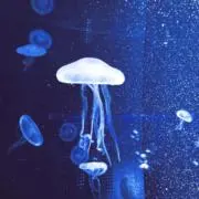 青の画像