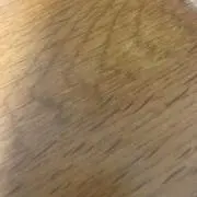 塚本の画像