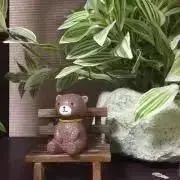 くまの画像