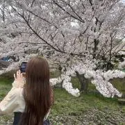 こに