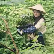 ナリ