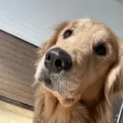 ヒロの画像