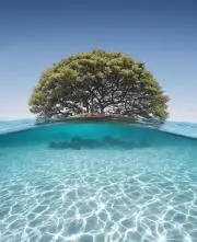 ちゃみの画像