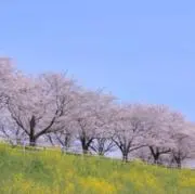 メビウス
