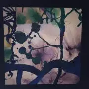 MiZuの画像