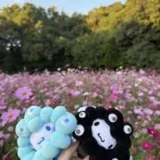 みさえの画像