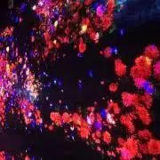 akzの画像