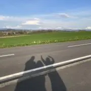 しらたまの画像