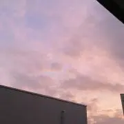msyの画像