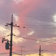 みとこんどりあ