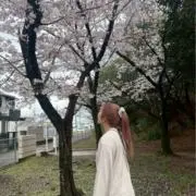 ななの画像