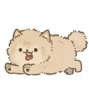 ぽちの画像