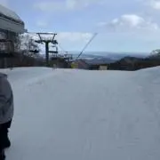 かなやんの画像