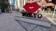 はだかでばねずみの画像