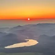 Dの画像