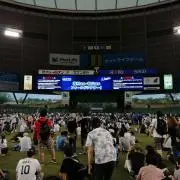 KTの画像