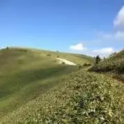 calotte