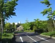 ましゆの画像